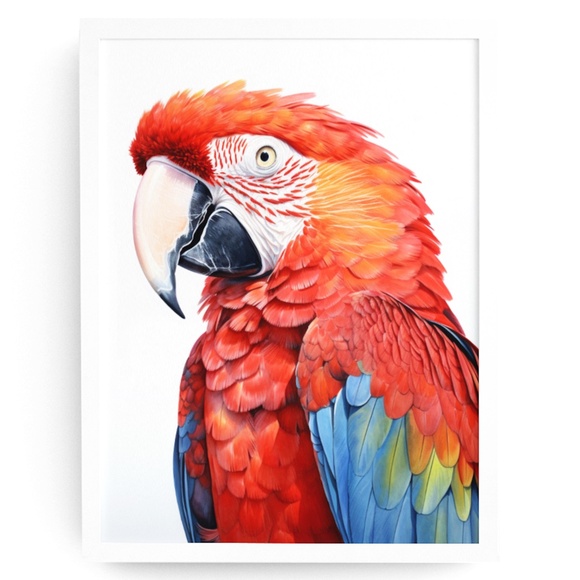 Creative Path Studios Other - Red Macaw Parrot Bird Watercolor Wall Art Print Poster Unframed